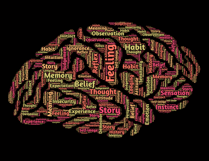 executive function for students