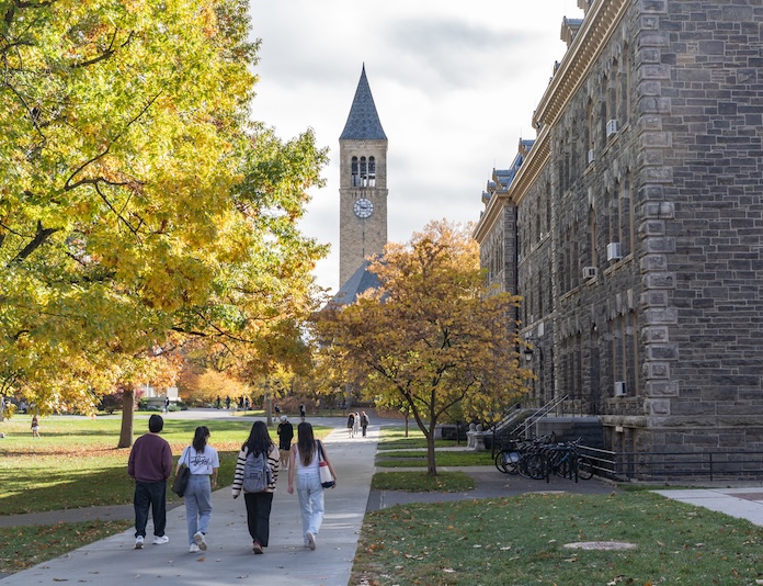 Cornell-supplemental-essays