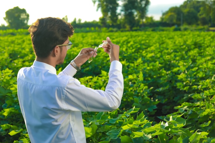 environmental-studies-strong-programs