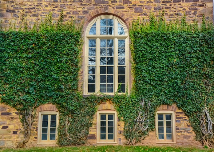 Ivy-Day-2026-Princeton