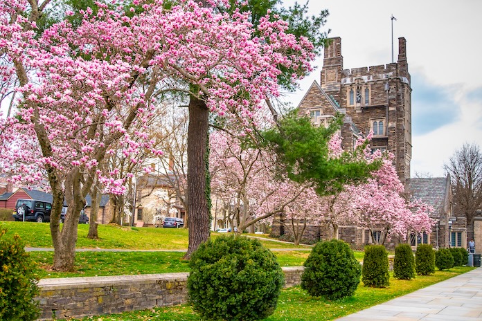 Princeton Acceptance Rate tightens