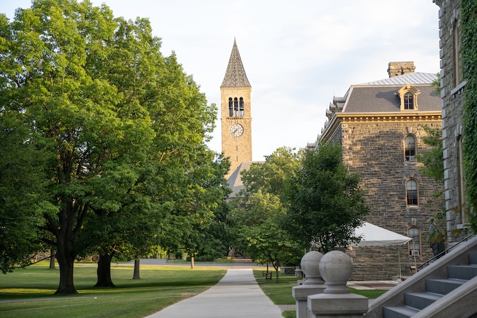 Which Cornell College Should You Apply To? Insider Admissions Guide