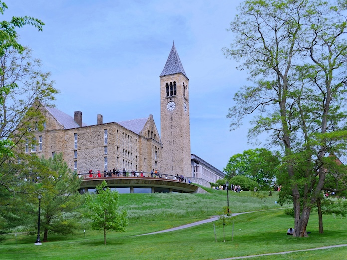 Cornell Acceptance Rate: Class of 2030